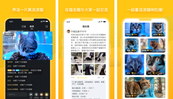 街猫app怎么领养猫咪 操作方法介绍
