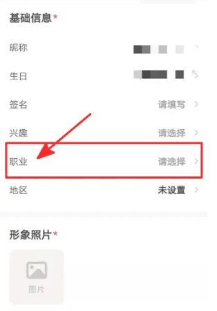 皮皮陪玩APP怎么设置职业 个人信息编辑方法