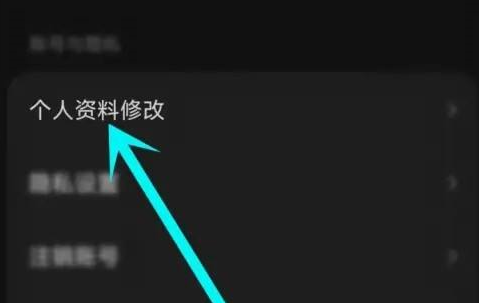 汽水音乐怎样设置定位？汽水音乐设置定位的方法截图