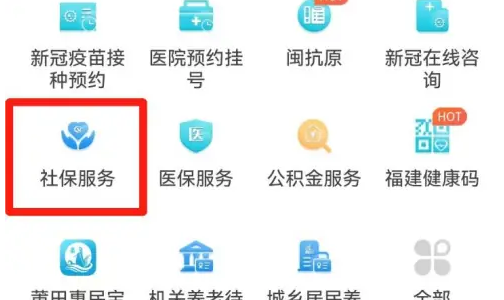 闽政通如何查社保缴费月数 闽政通查询社保缴纳明细步骤