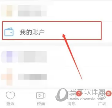 百合婚恋APP怎么查看钱包 余额查看方法