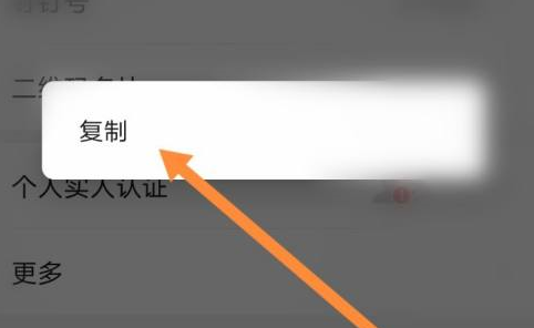 钉钉如何复制钉钉号？钉钉复制钉钉号的方法截图