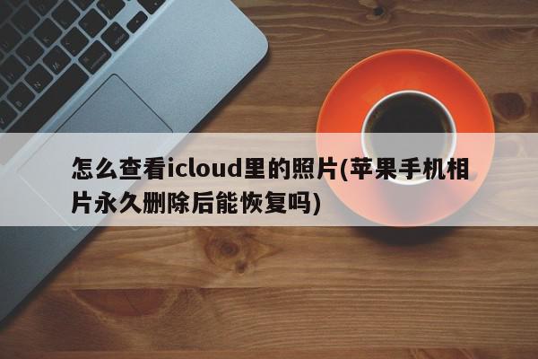 怎么查看icloud里的照片(苹果手机相片永久删除后能恢复吗)