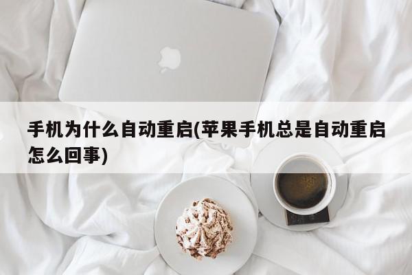 手机为什么自动重启(苹果手机总是自动重启怎么回事)