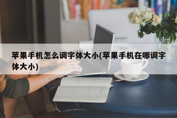 苹果手机怎么调字体大小(苹果手机在哪调字体大小)