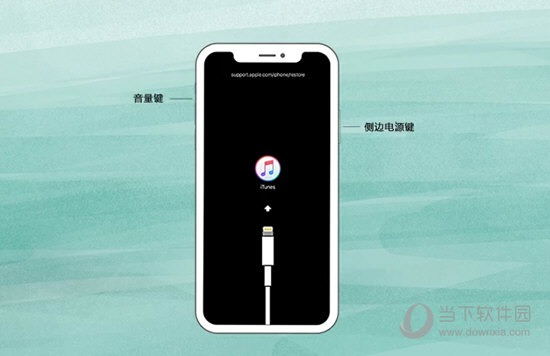 iPhone  X  或后续机型