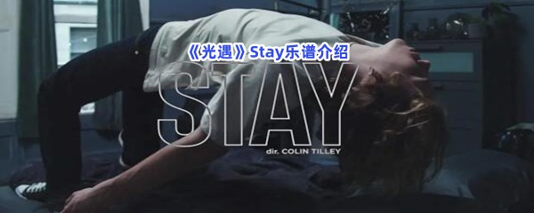 光遇Stay乐谱介绍