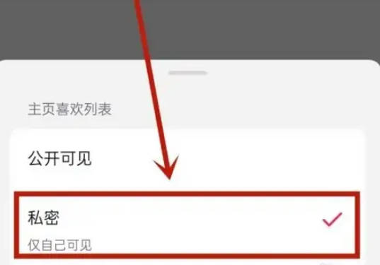 抖音喜欢怎么设置为私密？(10)