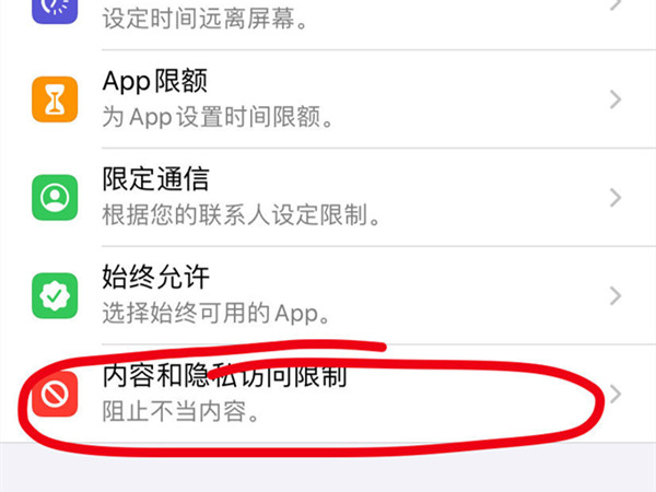 iphone手机访问限制功能在哪里？iphone手机设置访问限制方法介绍截图