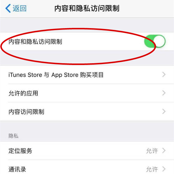 iphone手机访问限制功能在哪里？iphone手机设置访问限制方法介绍截图