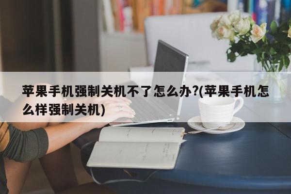 苹果手机强制关机不了怎么办?(苹果手机怎么样强制关机)