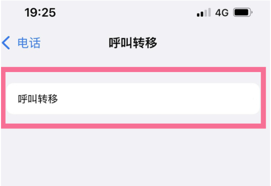 iPhone13呼叫转移怎样设置？iPhone13添加呼叫转移号码流程介绍截图