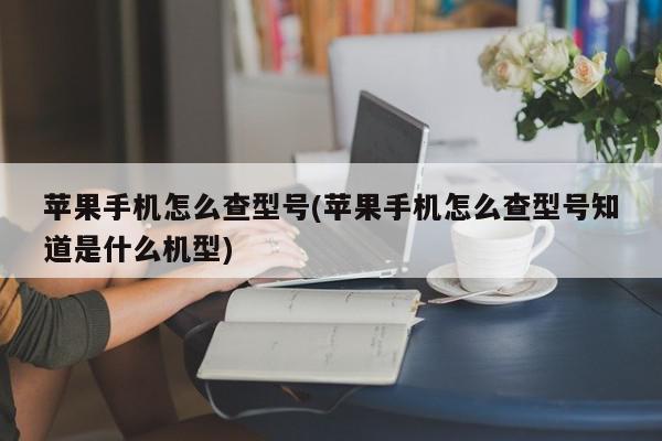 苹果手机怎么查型号(苹果手机怎么查型号知道是什么机型)