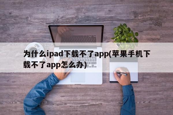 为什么ipad下载不了app(苹果手机下载不了app怎么办)