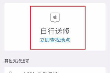 Apple支持截图2