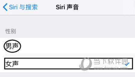 苹果手机设置Siri声音的图文操作