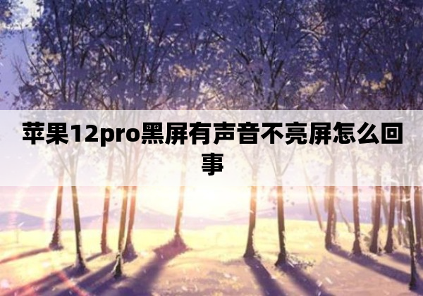 苹果12pro黑屏有声音不亮屏怎么回事