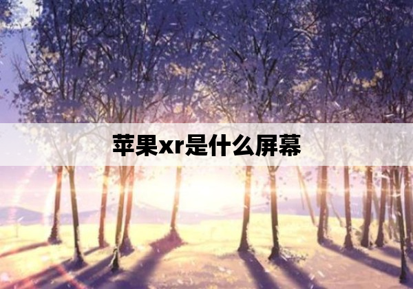 苹果xr是什么屏幕