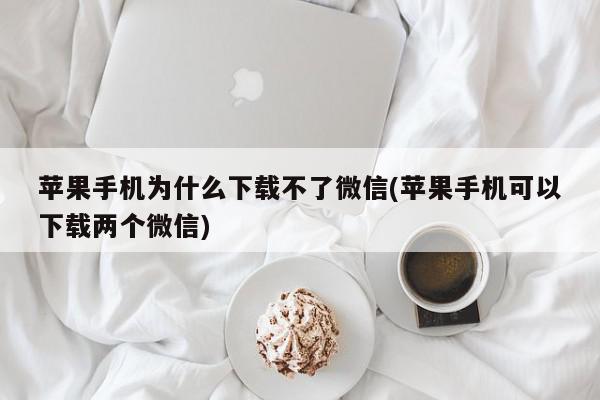 苹果手机为什么下载不了微信(苹果手机可以下载两个微信)