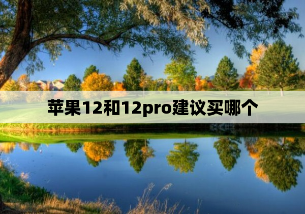 苹果12和12pro建议买哪个