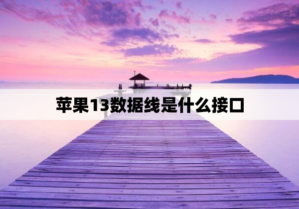 苹果13数据线是什么接口