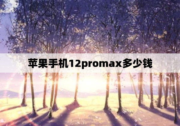 苹果手机12promax多少钱