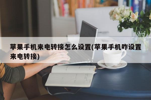 苹果手机来电转接怎么设置(苹果手机咋设置来电转接)