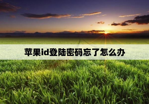 苹果id登陆密码忘了怎么办