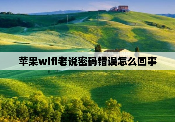 苹果wifi老说密码错误怎么回事