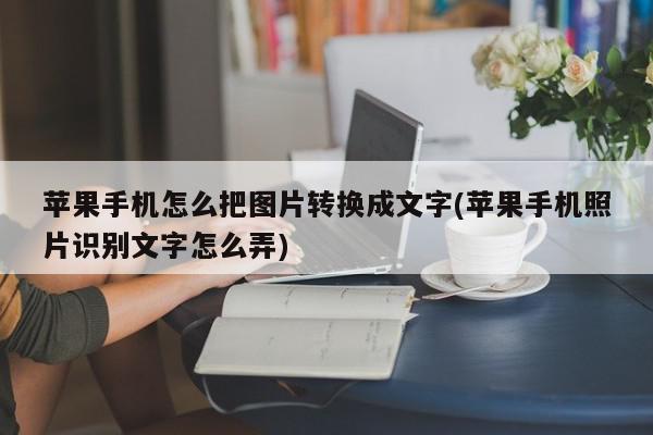 苹果手机怎么把图片转换成文字(苹果手机照片识别文字怎么弄)