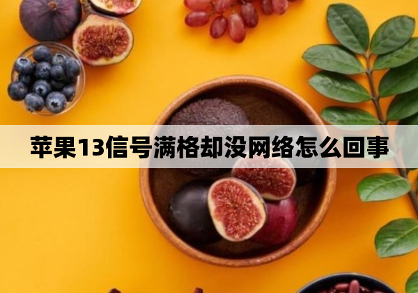 苹果13信号满格却没网络怎么回事