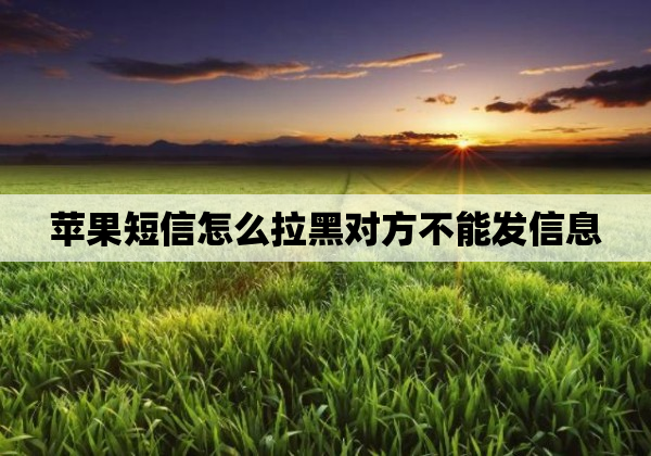 苹果短信怎么拉黑对方不能发信息