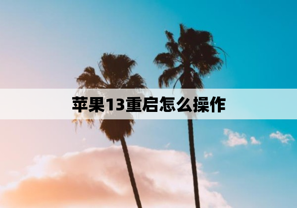 苹果13重启怎么操作