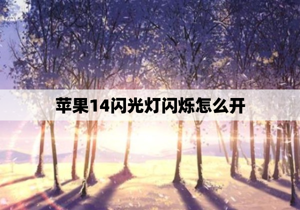 苹果14闪光灯闪烁怎么开