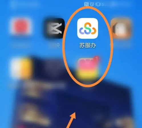 江苏政务app怎么查孩子交学费的电子发票 苏服办查看电子票据方法