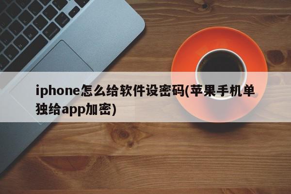 iphone怎么给软件设密码(苹果手机单独给app加密)