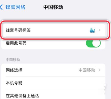 iPhone13promax如何设置主卡副卡？iPhone13promax主卡副卡设置步骤介绍截图