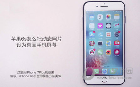 iPhone怎么把动态照片设为桌面壁纸 只需3步即可搞定