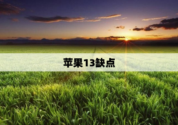 苹果13缺点