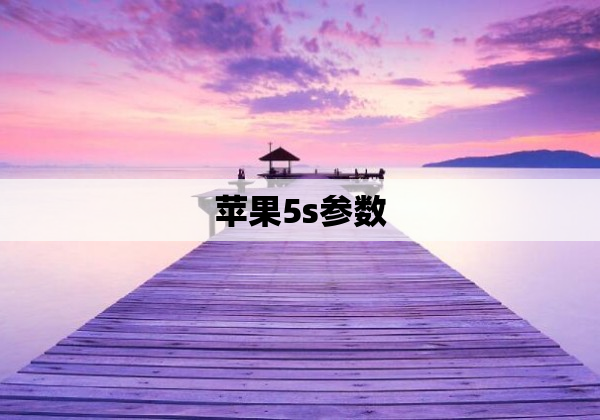 苹果5s参数