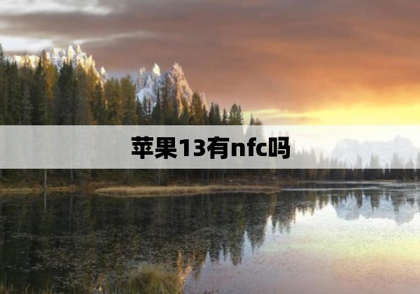 苹果13有nfc吗