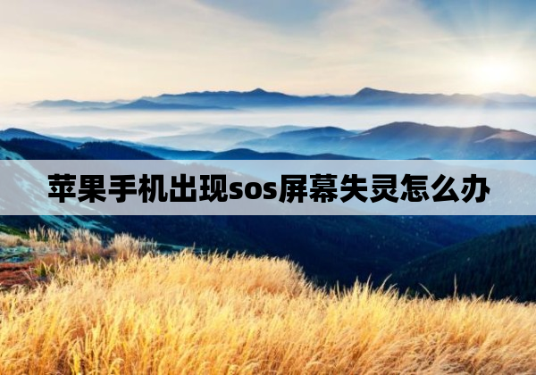 苹果手机出现sos屏幕失灵怎么办