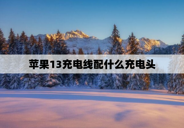 苹果13充电线配什么充电头