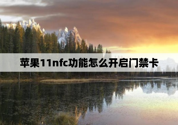 苹果11nfc功能怎么开启门禁卡