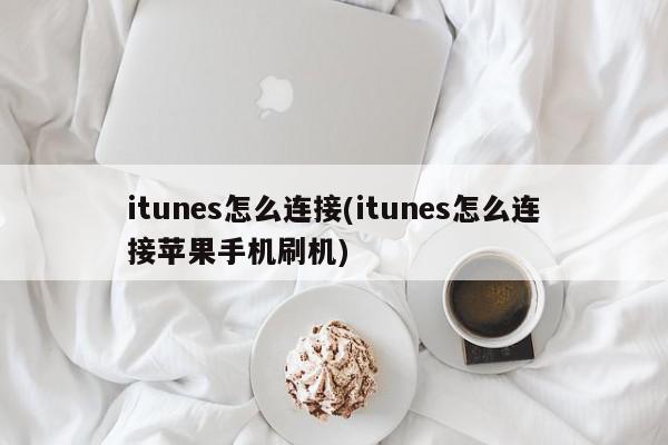 itunes怎么连接(itunes怎么连接苹果手机刷机)