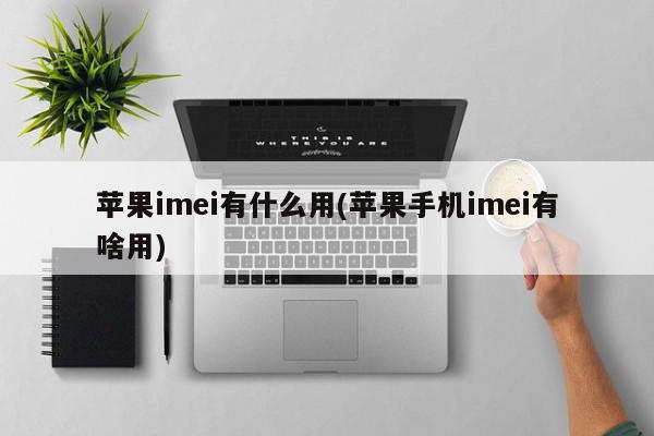 苹果imei有什么用(苹果手机imei有啥用)