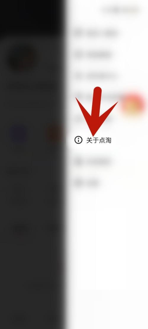 点淘怎么更新版本？点淘更新版本教程截图