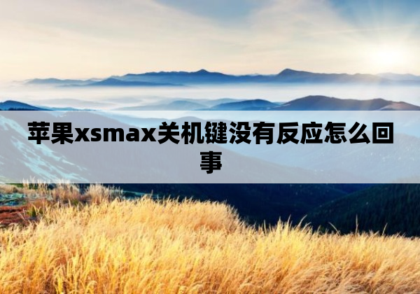 苹果xsmax关机键没有反应怎么回事