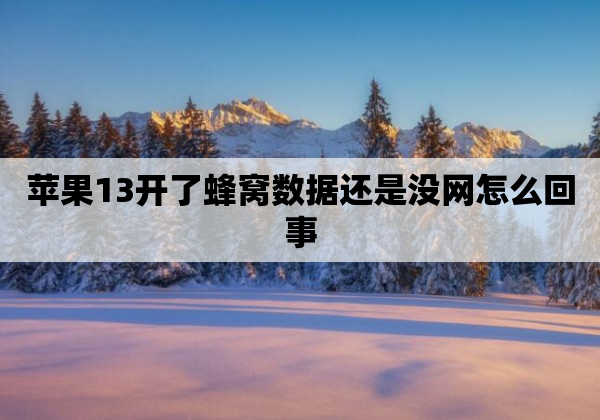 苹果13开了蜂窝数据还是没网怎么回事