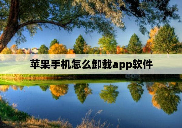 苹果手机怎么卸载app软件